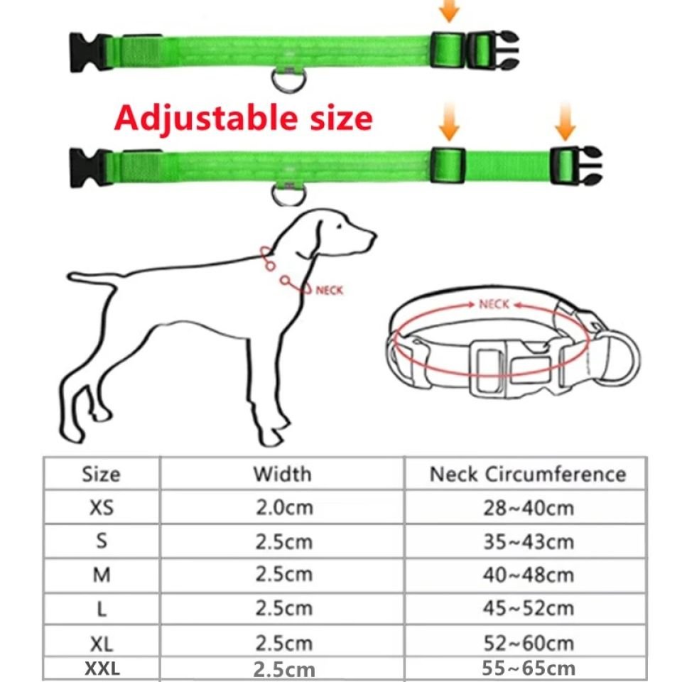 Led Dog Collar 